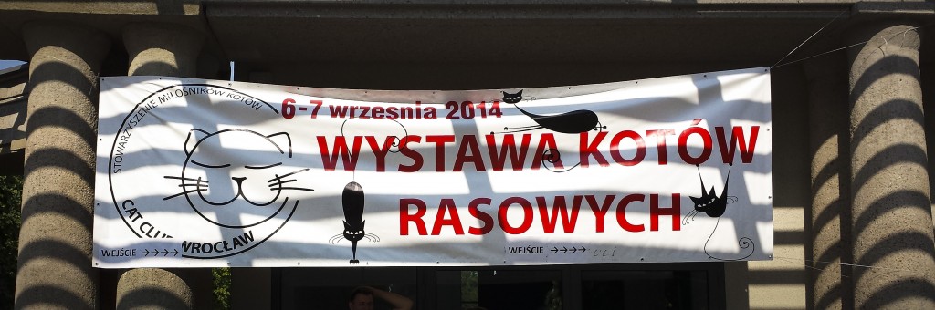 wystawa-kotow-rasowych-wroclaw-2014-centrum-kongresowe